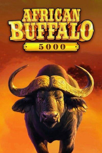 Slot African Buffalo 5000 w Cleobetra Casino